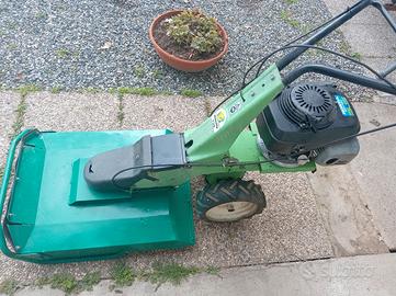 trincia distruggi erba 