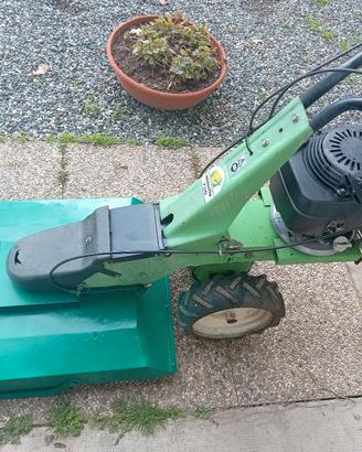 trincia distruggi erba 