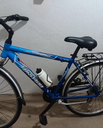 bicicletta Torpado 