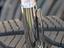 Immagine 5