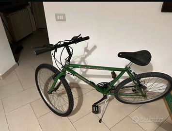 Mountain Bike (Freni NUOVI)