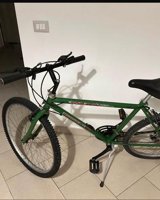Mountain Bike (Freni NUOVI)