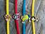 Immagine 2