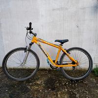 Bicicletta MontainBike