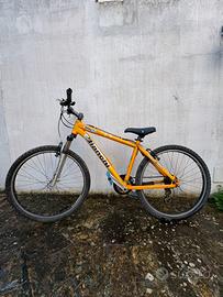 Bicicletta MontainBike