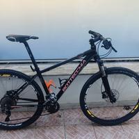 MTB Bottecchia GAVIA 29 Hard Tail