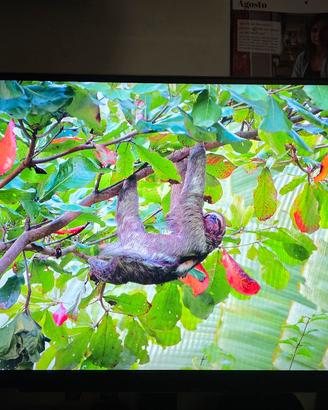 Monitor LG 27GR75Q QHD 165Hz