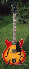 Chitarra Jazz  Gibson