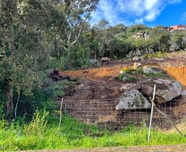 TERRENO EDIFICABILE ZONA RESIDENZIALE LUOGOSANT...