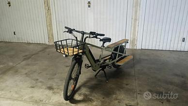 Bici elettica