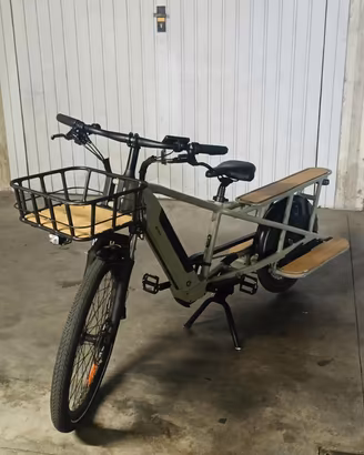 Bici elettica