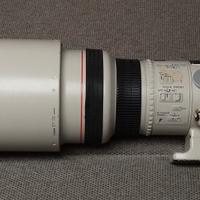 Canon EF 300 F2.8 liscio
