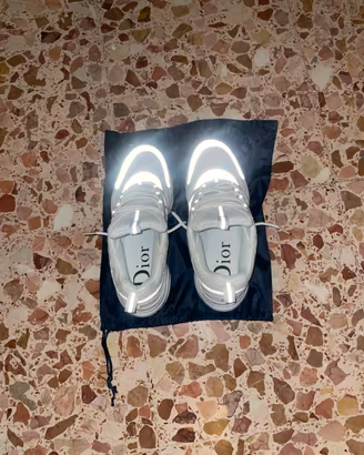 Dior b22
