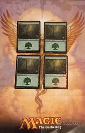 Magic the gathering 'Forest' Core set 2020 promo 4