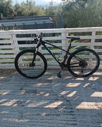 bicicletta specialized 