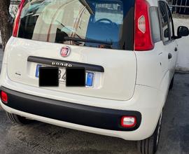 FIAT Panda 3ª serie - 2020