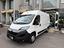 Immagine 2