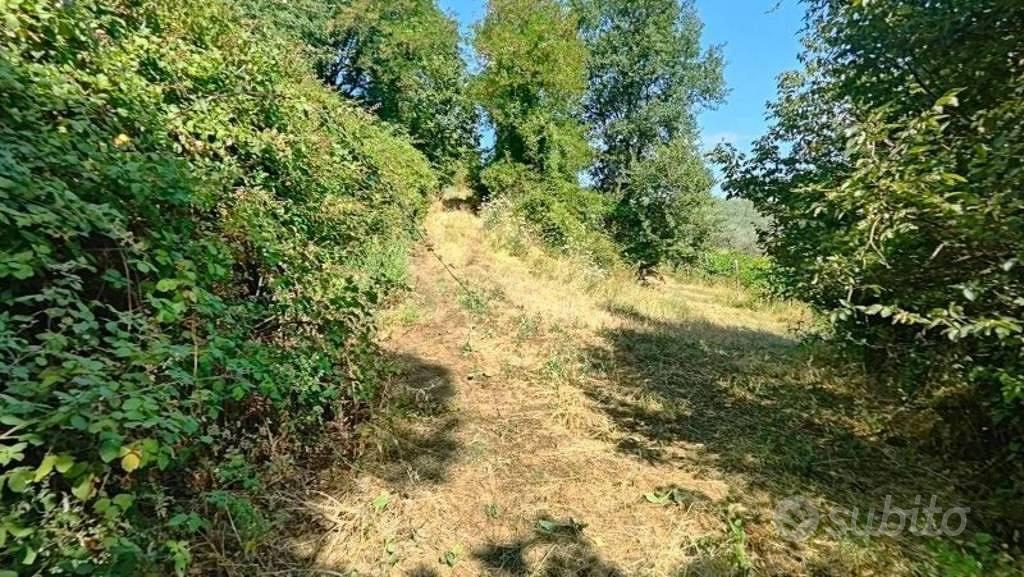 Immobile in asta di 290 m² a Montefalco - Vista 3