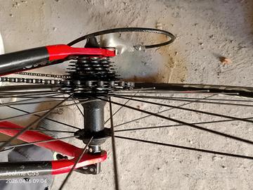 bici corsa uomo 