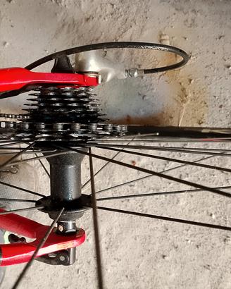 bici corsa uomo 
