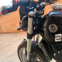 Ti sta aspettando un Leoncino