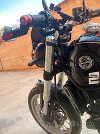 Ti sta aspettando un Leoncino