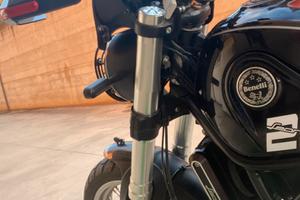 Ti sta aspettando un Leoncino