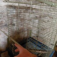 Gabbia per volatili