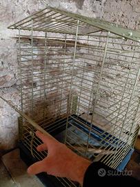 Gabbia per volatili