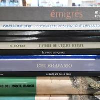 Libri valle d'aosta reines arte pastorale artigian