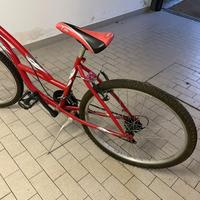 bicicletta Mountain bike 