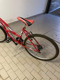 bicicletta Mountain bike 