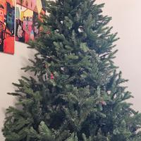 Albero 2.10m