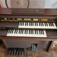 Organo Gem70