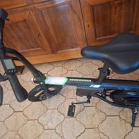 Bicicletta elettrica