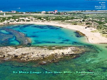 Sa Mesa Longa - Penisola del Sinis 