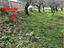 Immagine 15
