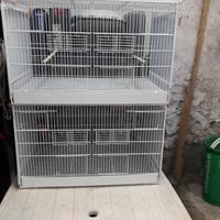 Gabbie per canarini e cardellini