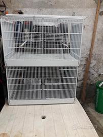 Gabbie per canarini e cardellini