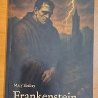 Frankenstein or, The Modern Prometheus
