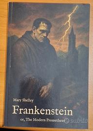 Frankenstein or, The Modern Prometheus
