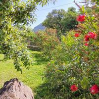 Villetta con giardino e barbecue 2 passi dal mare