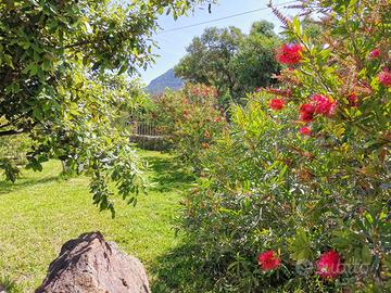 Villetta con giardino e barbecue 2 passi dal mare