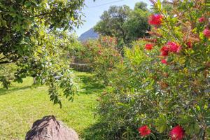Villetta con giardino e barbecue 2 passi dal mare