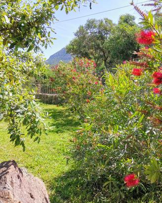 Villetta con giardino e barbecue 2 passi dal mare