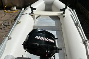 Mercury 3.5 hp 4 tempi