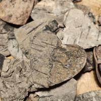10 Cuori di legno in corteccia