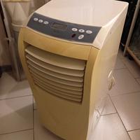 condizionatore portatile da appartamento 