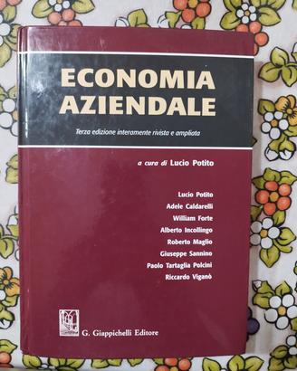 Economia Aziendale - Terza Edizione 