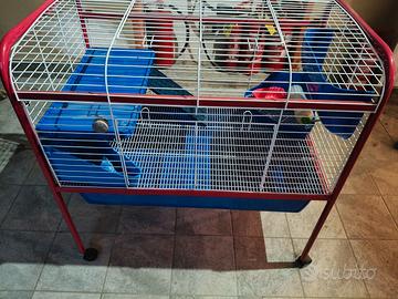 Gabbia per conigli